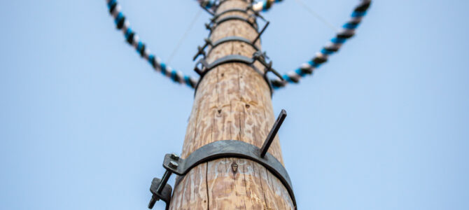 Maibaum steht wieder Maibaum steht wieder